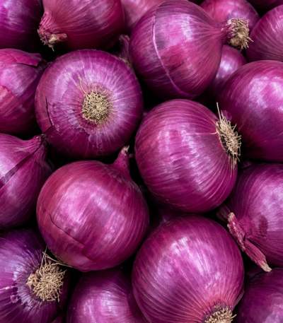 Cebolla morada fresca lista para cocinar