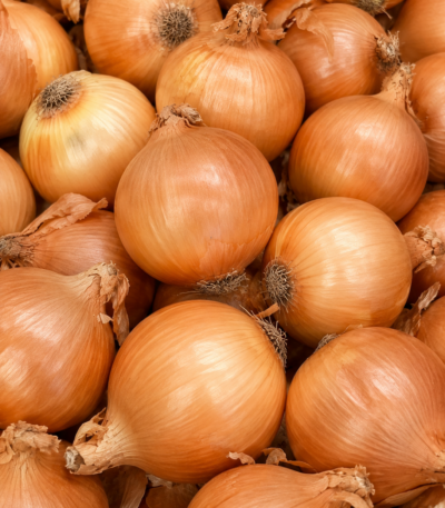 Cebolla seca dulce fresca lista para cocinar